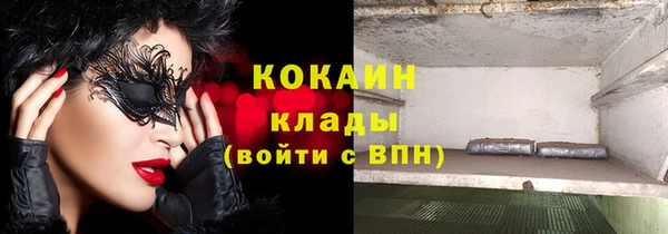 соль ск Дмитров