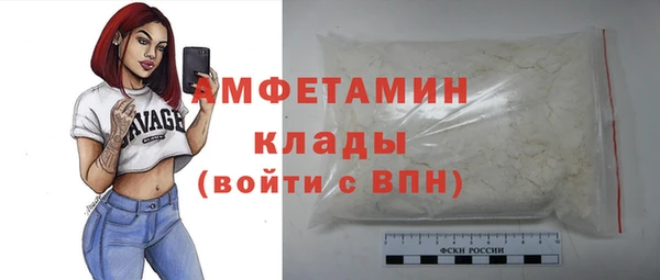 соль ск Дмитров