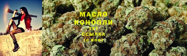 соль ск Дмитров