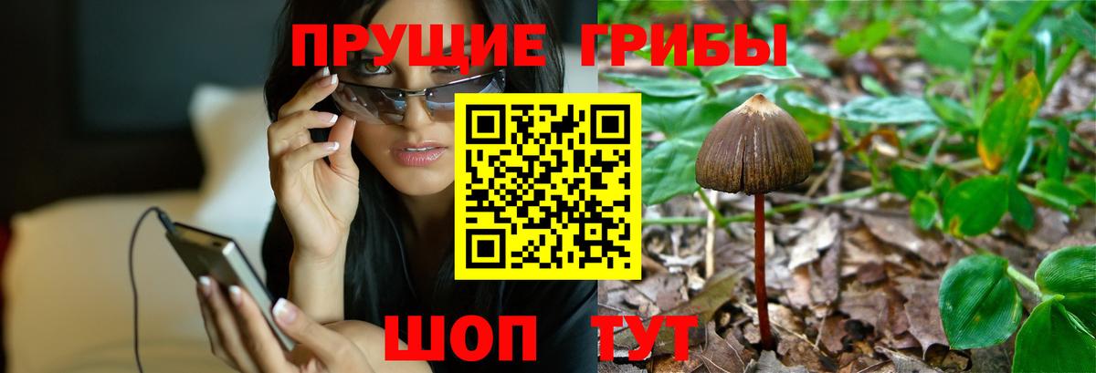 где продают   Вход с VPN  Рузаевка  Галлюциногенные грибы прущие грибы 